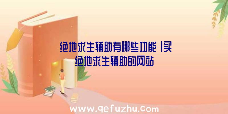 「绝地求生辅助有哪些功能」|买绝地求生辅助的网站